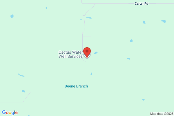 Cactus Water Well Services LLC