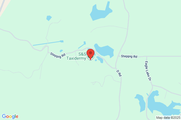 S & S Taxidermy Studio