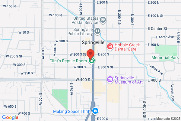 Jive Dance Studio - Springville