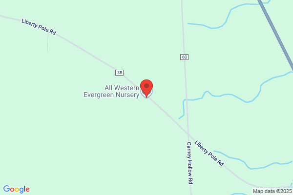 All Western Evergreen Nursery & Christmas Tree Farm