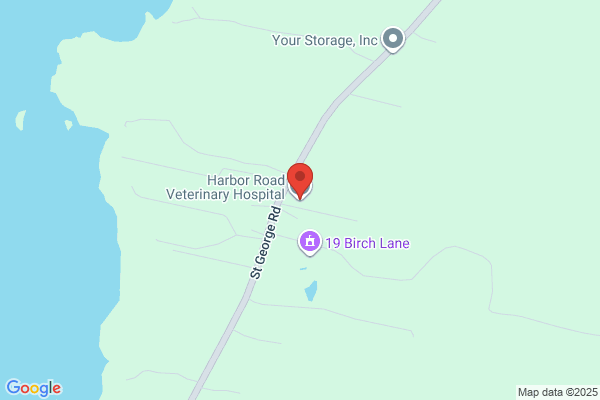 Harbor Road Veterinary Hospital