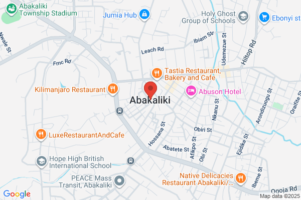 Alanu Network Service