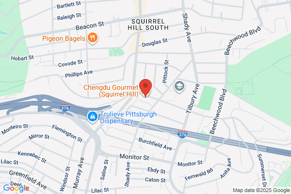 Chengdu Gourmet（Squirrel Hill)