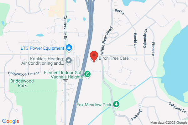 Birch Tree Care