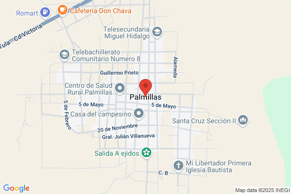 Palmillas Painting