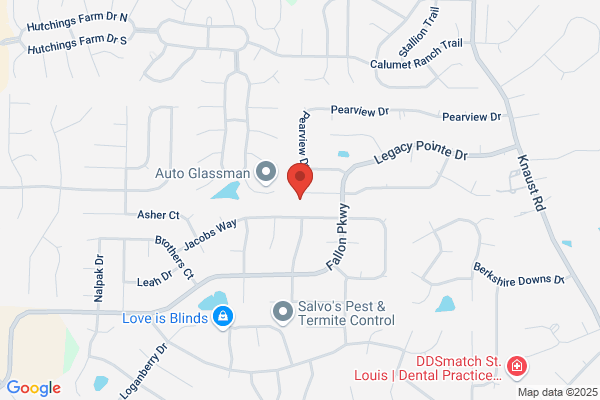 Welsch Chimney Service Inc