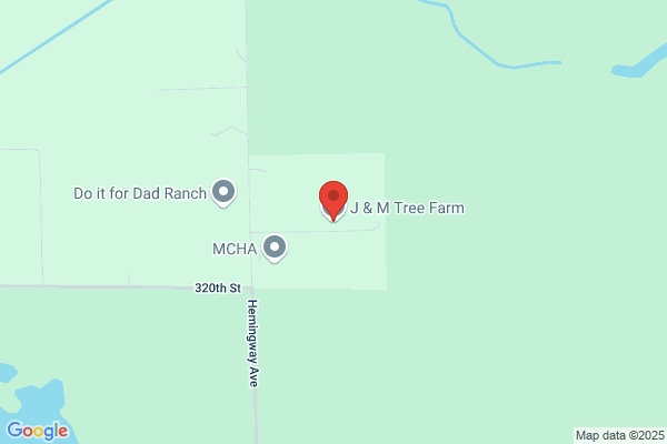 Green Forest Tree Farm