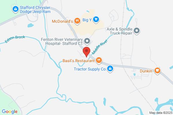 Stafford Family Chiropractic