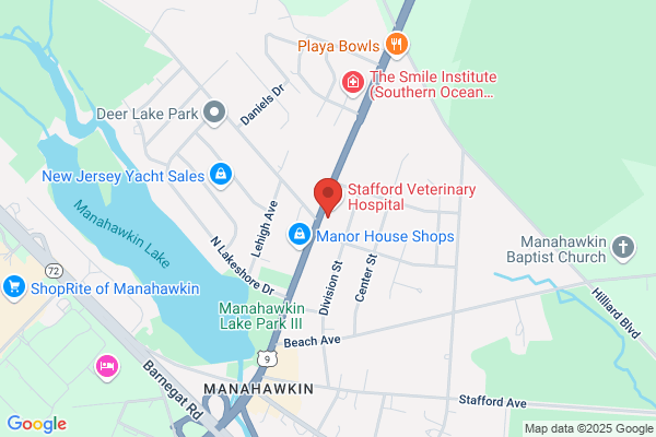NAPA Auto Parts - Auto Parts Connection of Manahawkin