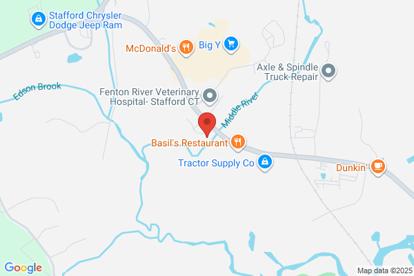 Stafford Dental Associates LLC