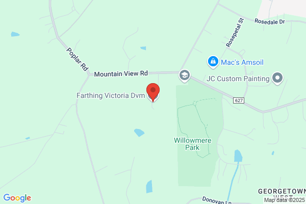 Farthing Victoria DVM