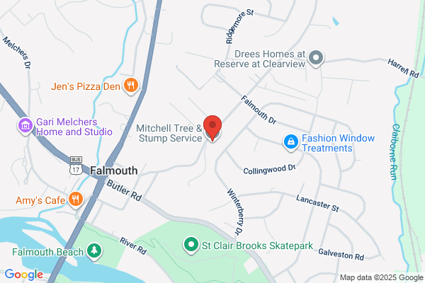 Mitchell Tree & Stump Service