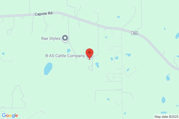 Baize Cattle Co