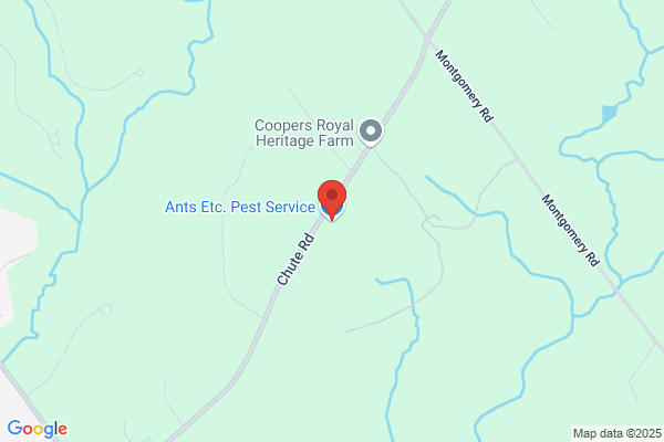 Ants Etc Pest Services