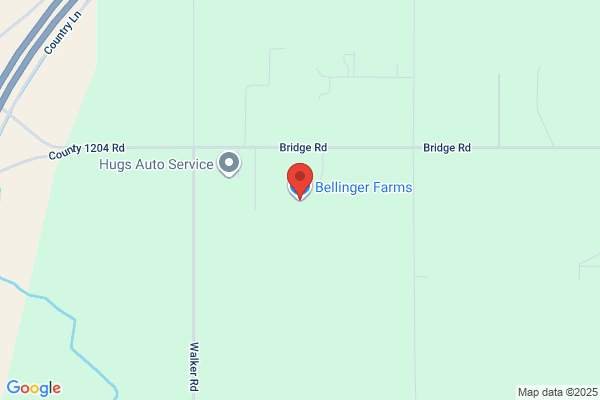 Bellinger Produce Llc Fruit Stand