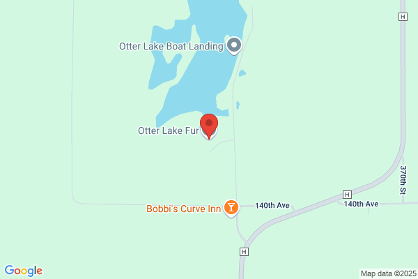 Otter Lake Fur