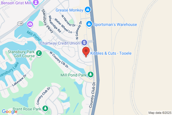 Burg Children's Dentistry: Stansbury Park Office