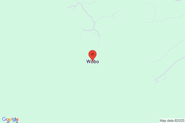 Wobo Bekwelem, MD