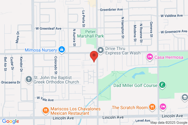 Springtree Apartments