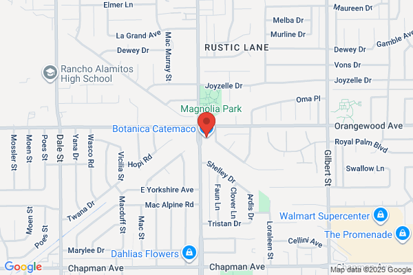 Auto Parts Distributor