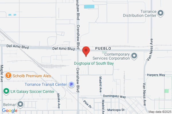 High Precision Dental