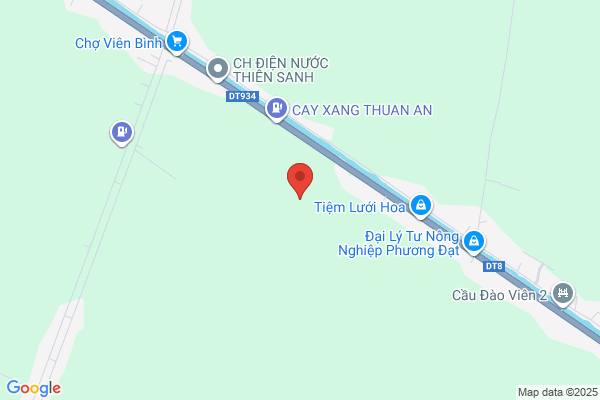Tinh Tran, MD