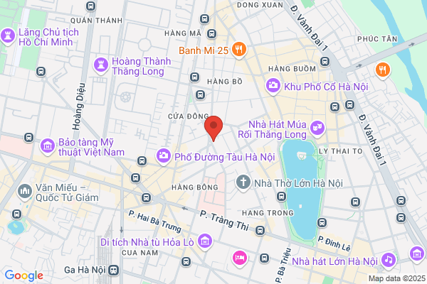 Vietman Performing Arts Television & Radio