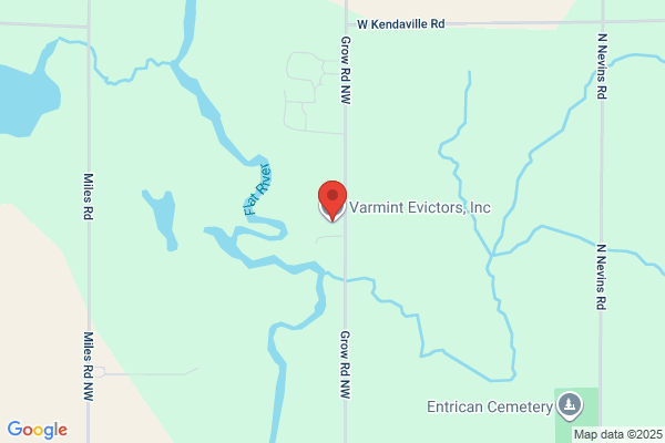 Varmint Evictors Wildlife Control Llc