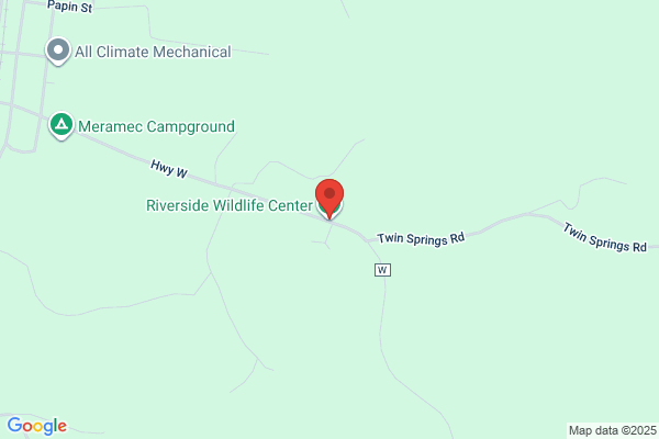 Riverside Reptile Ranch