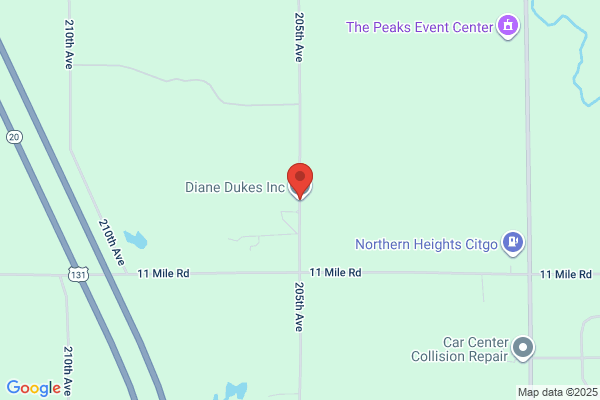 Dukes Diane Inc