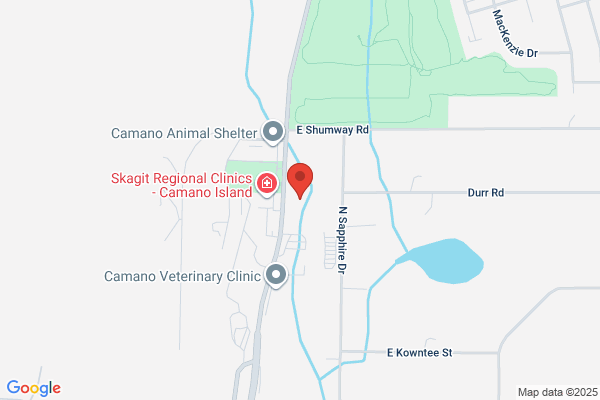 Camano Mold Inc