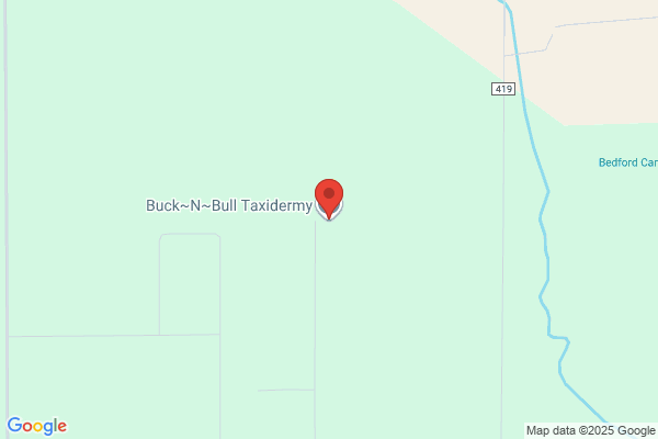 Buck~n~Bull Taxidermy