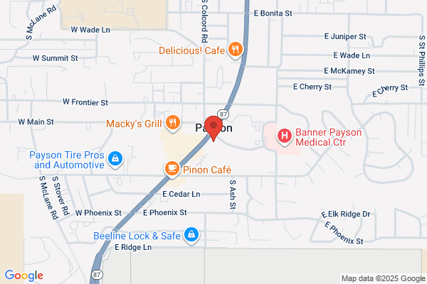 Carquest Auto Parts - Payson CARQUEST