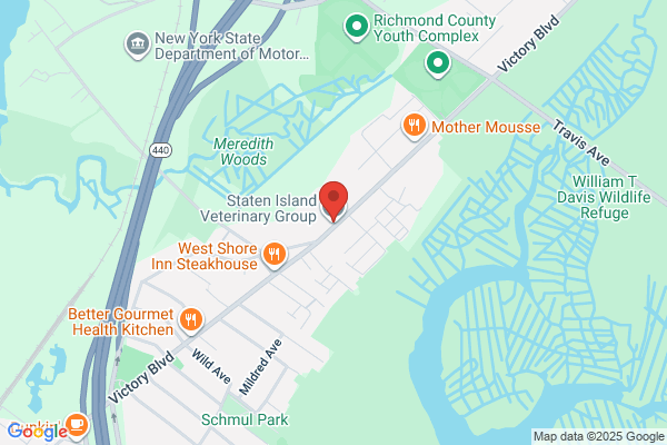 Staten Island Vet