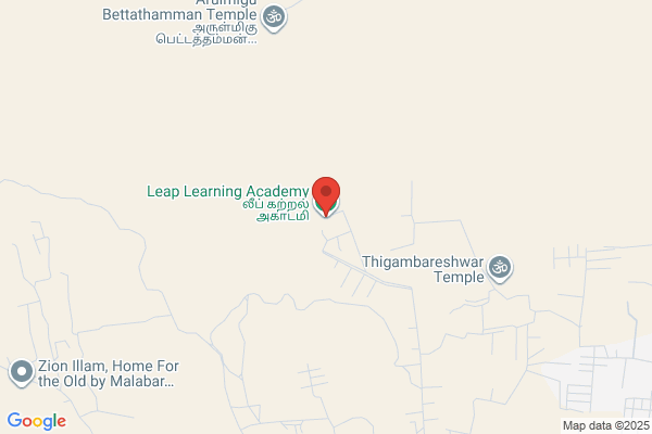 Leap Learning Academy