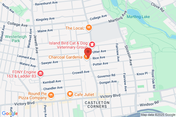 Staten Island Gutter Cleaning