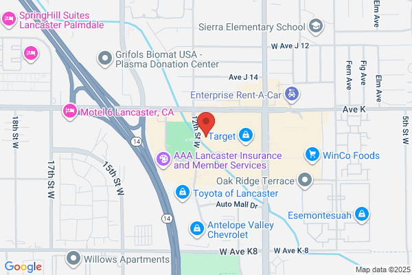 Legal Express Services