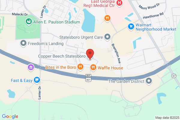 Copper Beech Statesboro