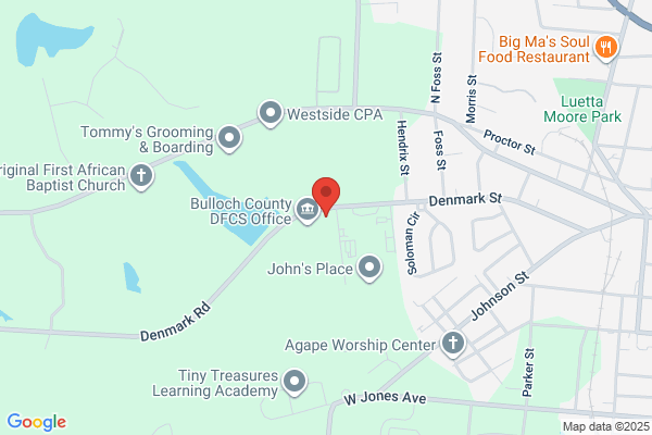 Bulloch County Health Department, Environmental Health
