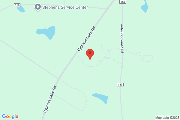Action Lawn & Landscaping Inc