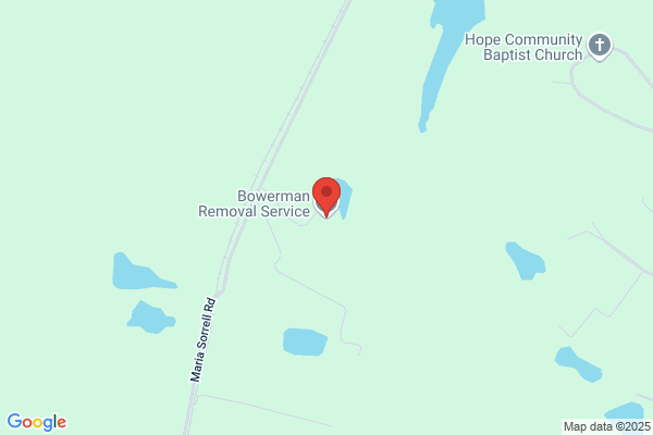 BRS-Bowerman Removal Services