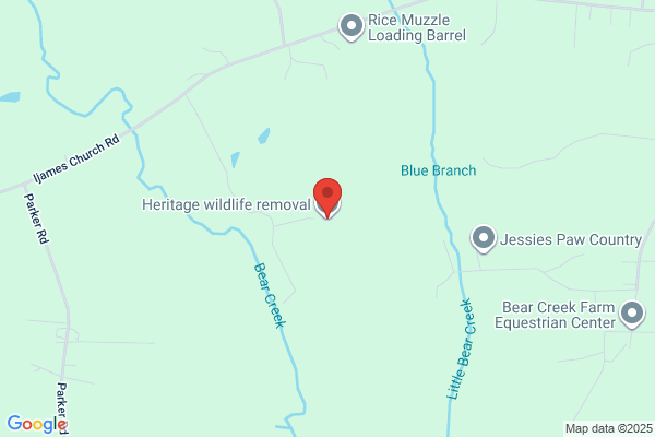 Heritage Wildlife Removal