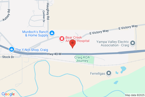 Craig Motor Sports