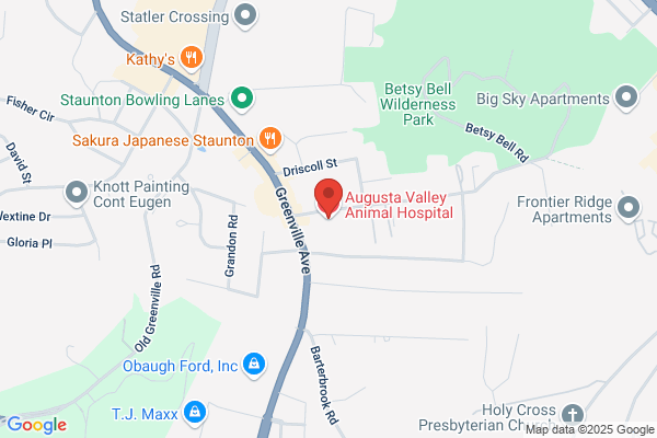 Augusta Valley Animal Hospital