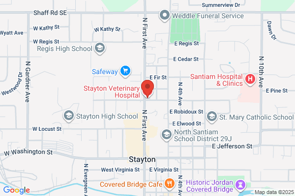 Stayton Vet