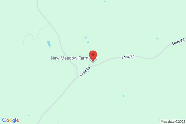 New Meadow Farm