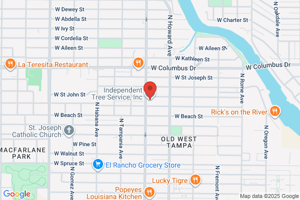 Independent Tree Service