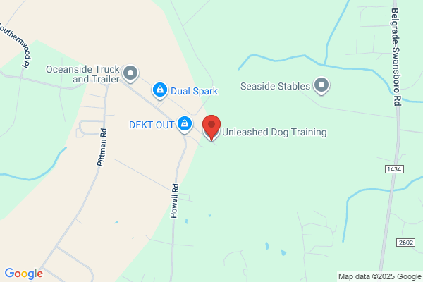 Unleashed Dog Training