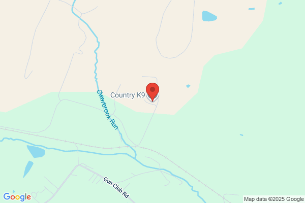 Country K9 Pet Resort & Spa