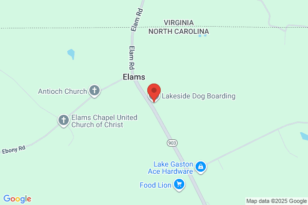 Lakeside Dog Grooming Boarding and Daycare